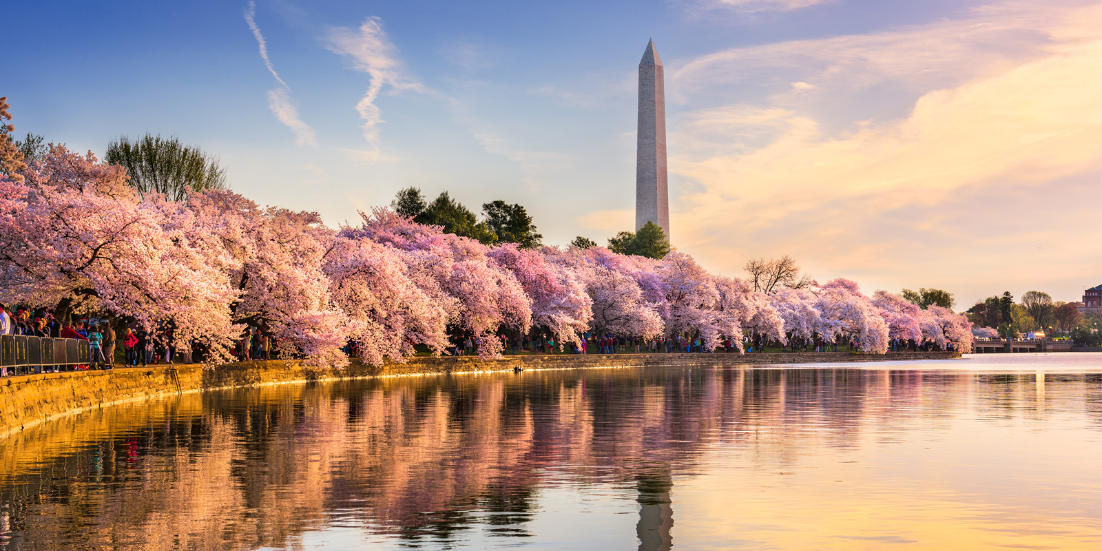 Flights to DC from $69